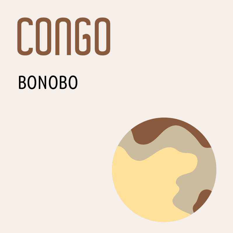 Congo Bonobo