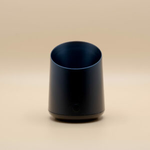 Balance Subscale Subminimal